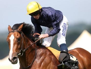 Hillstar is one of seven rides for Ryan Moore at Haydock today